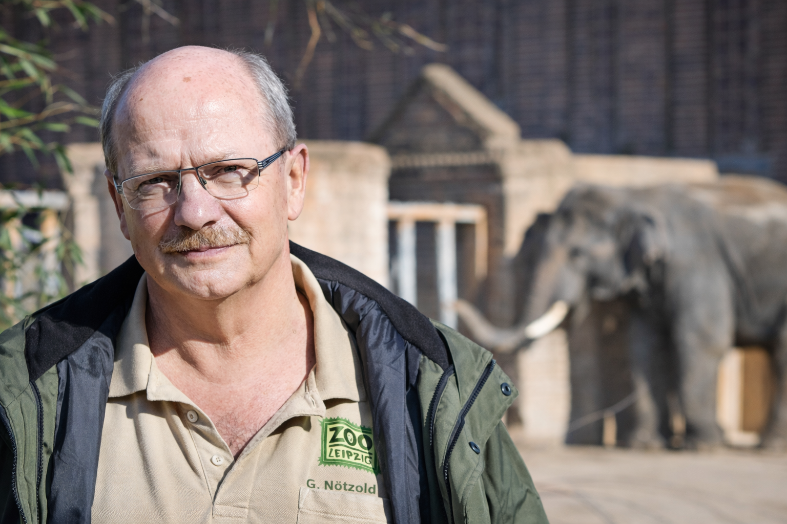 Tierpfleger Zoo Leipzig gestorben – Ein schwerer Verlust für Tiere und Menschen